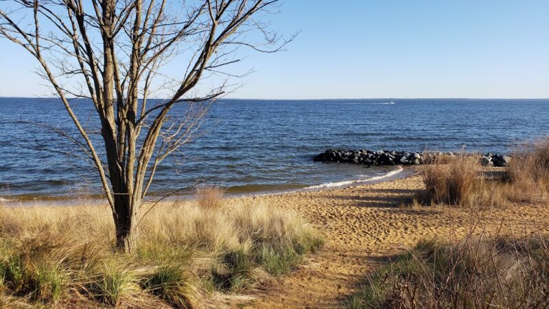 Newtowne Neck State Park - Leonardtown, MD