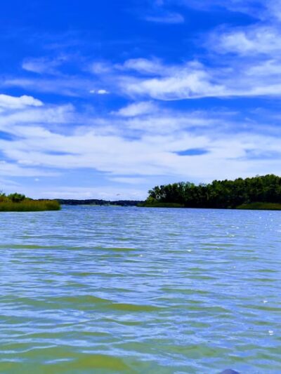 Newtowne Neck State Park - Leonardtown, MD