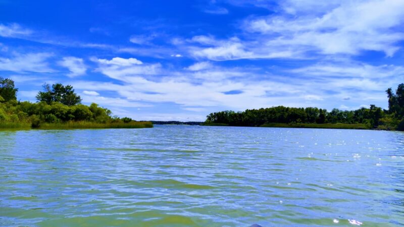 Newtowne Neck State Park - Leonardtown, MD