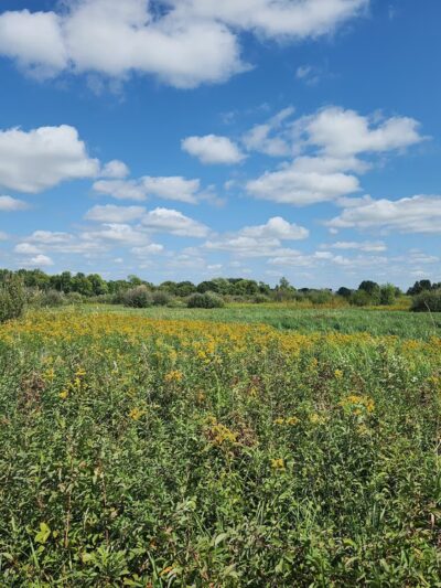 Sunrise Nature Park - Lester Prairie, MN