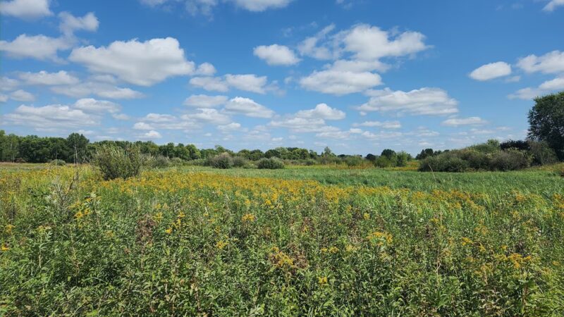 Sunrise Nature Park - Lester Prairie, MN