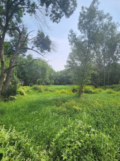 Sunrise Nature Park - Lester Prairie, MN