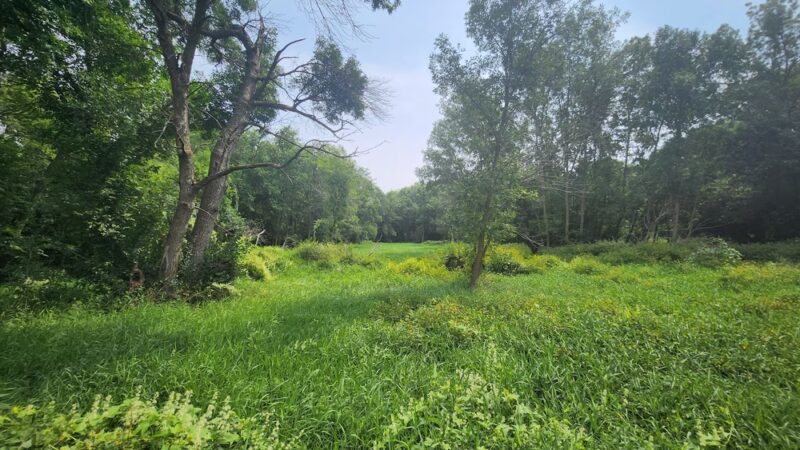 Sunrise Nature Park - Lester Prairie, MN