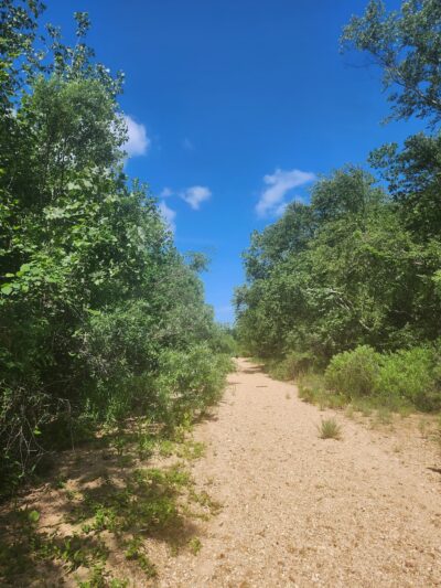 Lesterville Access - Lesterville, MO