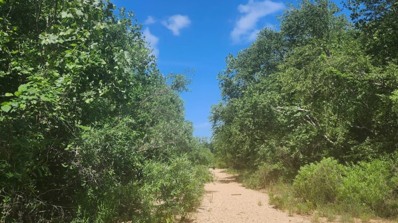 Lesterville Access - Lesterville, MO