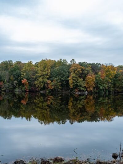 Gifford Pinchot State Park - Lewisberry, PA
