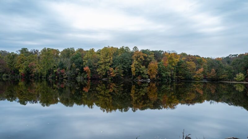 Gifford Pinchot State Park - Lewisberry, PA