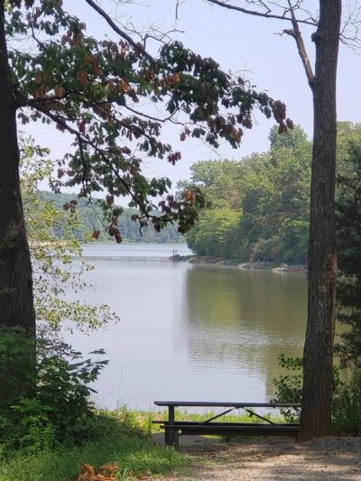 Gifford Pinchot State Park - Lewisberry, PA