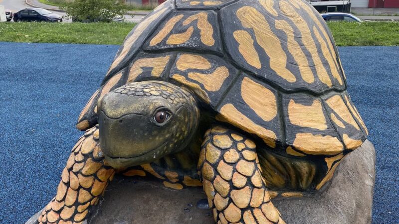 Marcotte Park Playground - Lewiston, ME