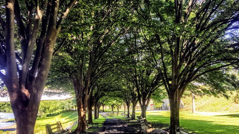 Victory Park - Lewistown, PA