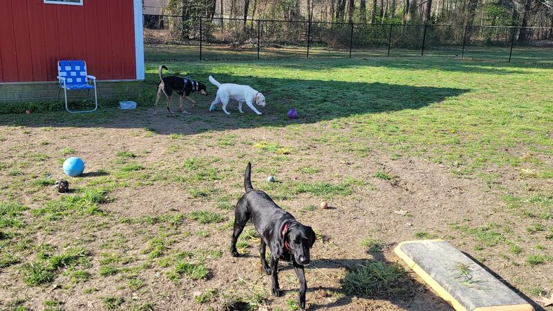 Trails End Pet Sitting - Lexington Park, MD
