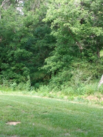 Lime Kiln Bridge Park - Lexington, VA