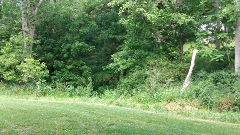 Lime Kiln Bridge Park - Lexington, VA