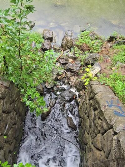 Chessie Nature Trail - Lexington, VA