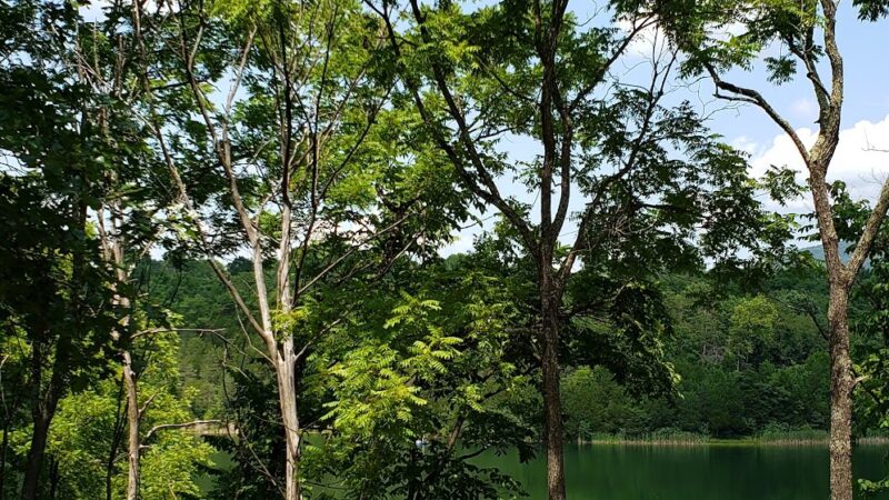 Lake Robertson Recreation Park - Lexington, VA