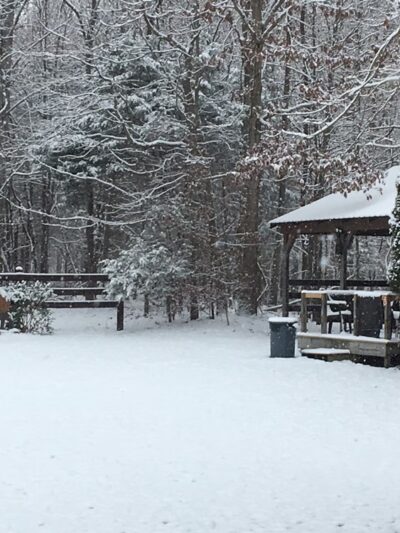 Quail Ridge Sporting Club & Boarding Kennels - Lexington, VA