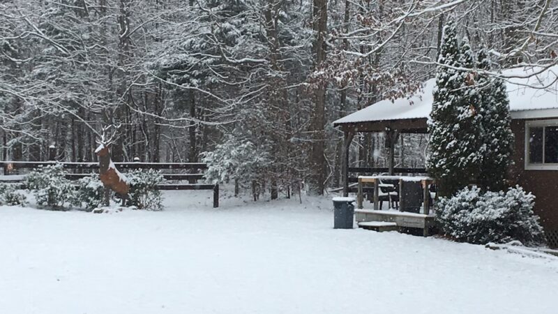 Quail Ridge Sporting Club & Boarding Kennels - Lexington, VA