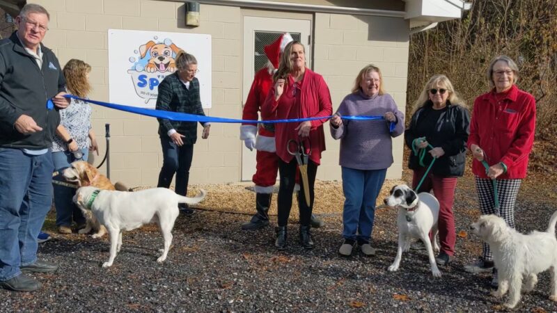 Rockbridge SPCA - Lexington, VA