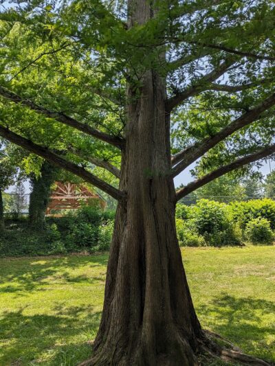 Woods Creek Park - Lexington, VA