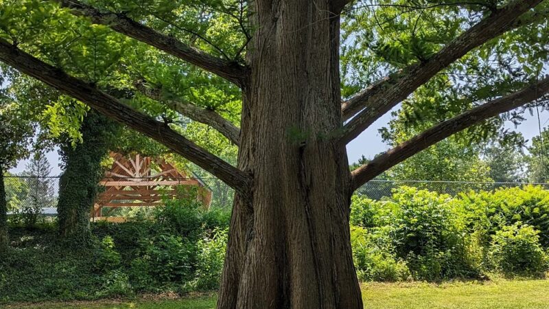 Woods Creek Park - Lexington, VA
