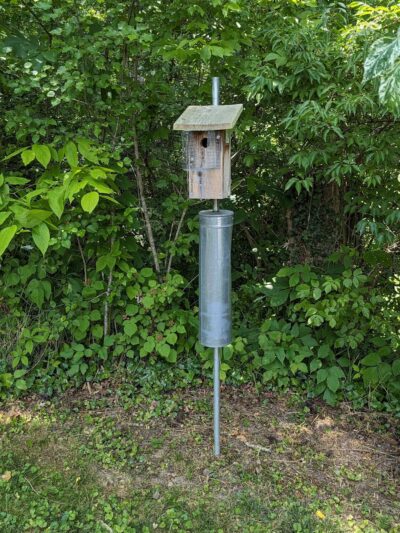 Woods Creek Park - Lexington, VA