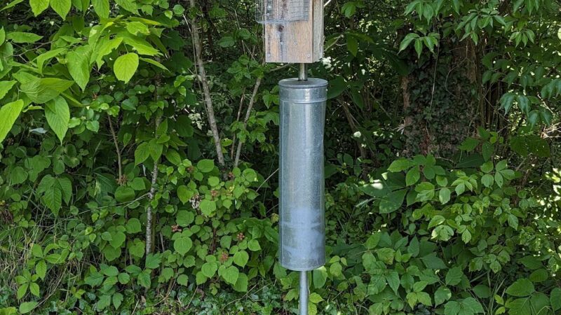 Woods Creek Park - Lexington, VA