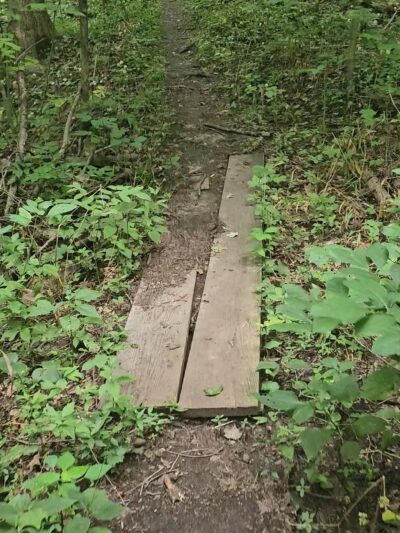 Edna W. Spurgeon Woodland Reserve - ACRES Land Trust - Ligonier, IN