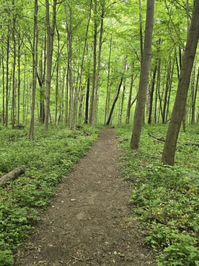 Edna W. Spurgeon Woodland Reserve - ACRES Land Trust - Ligonier, IN