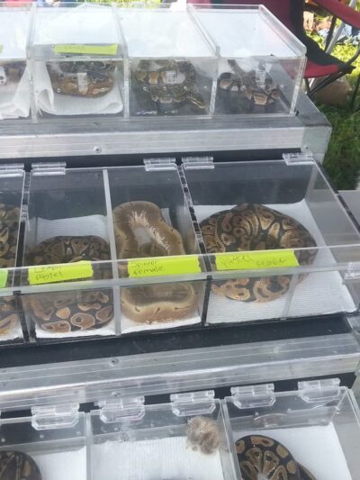 Wolf's Giant Animal Swap Meet - Ligonier, IN