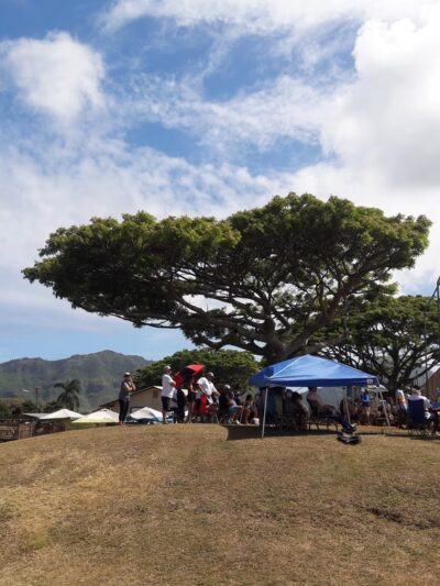 Lihue County Park - Lihue, HI