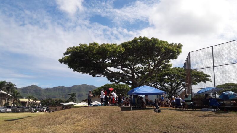 Lihue County Park - Lihue, HI