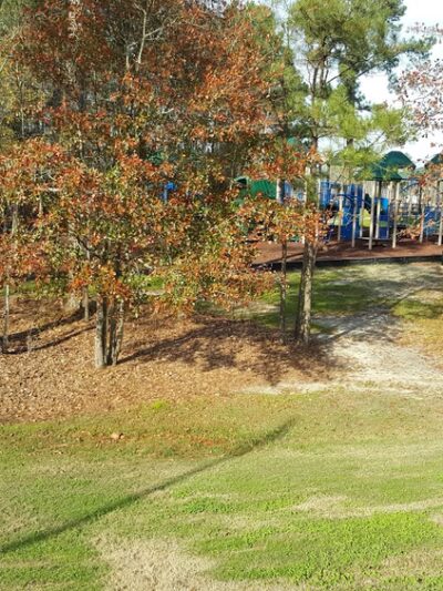 Barbecue Creek Park - Lillington, NC