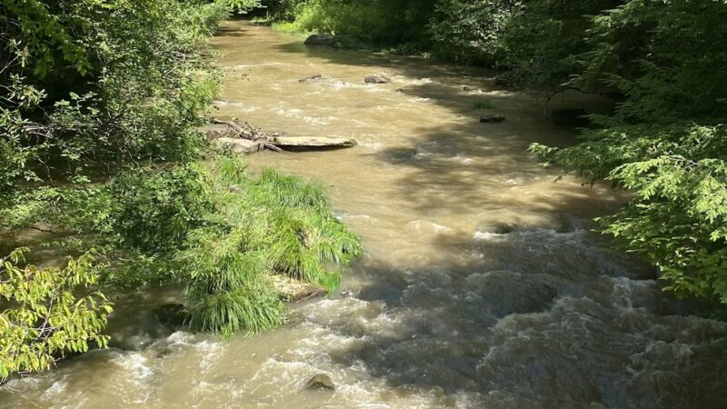 Ebensburg Trailhead - Lilly, PA