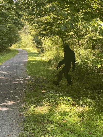 Ebensburg Trailhead - Lilly, PA