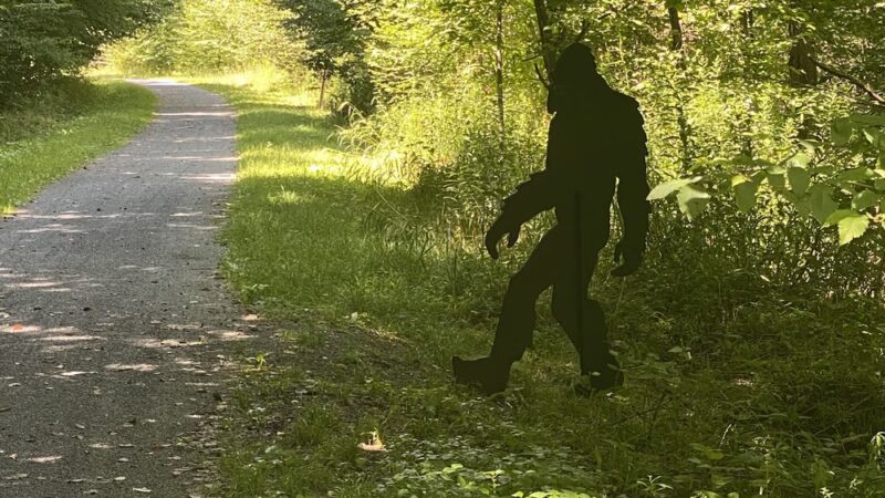 Ebensburg Trailhead - Lilly, PA
