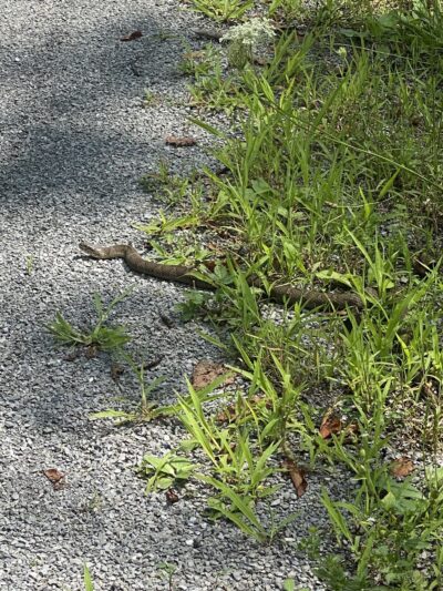 Ebensburg Trailhead - Lilly, PA