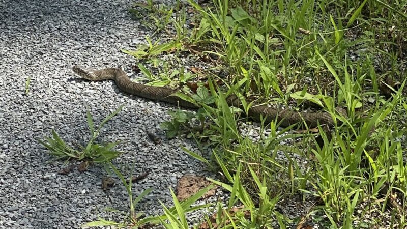 Ebensburg Trailhead - Lilly, PA