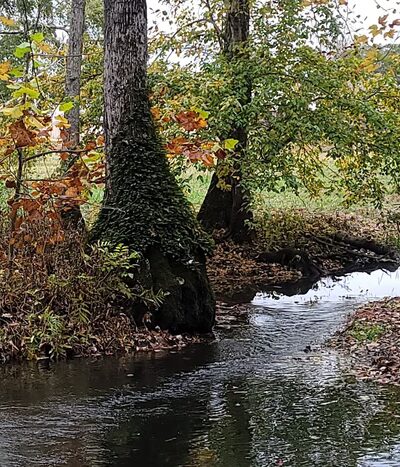 England Park & Blue Eye Trail - Lincoln, AL