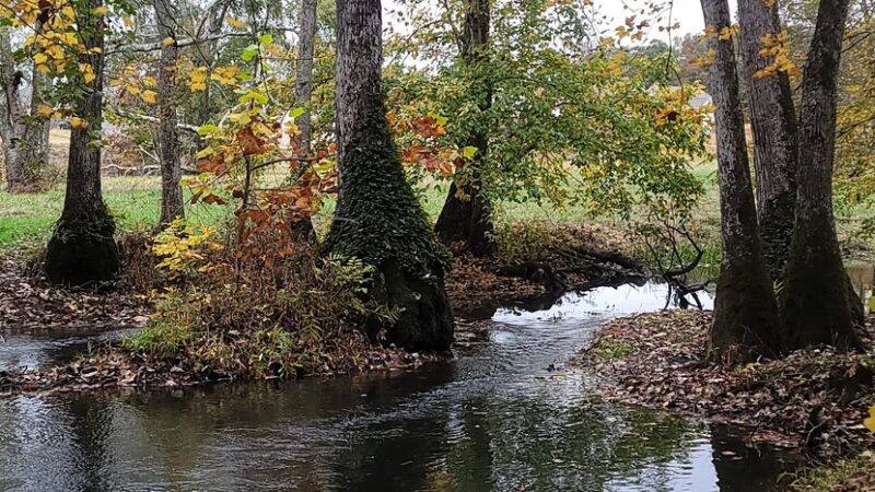 England Park & Blue Eye Trail - Lincoln, AL
