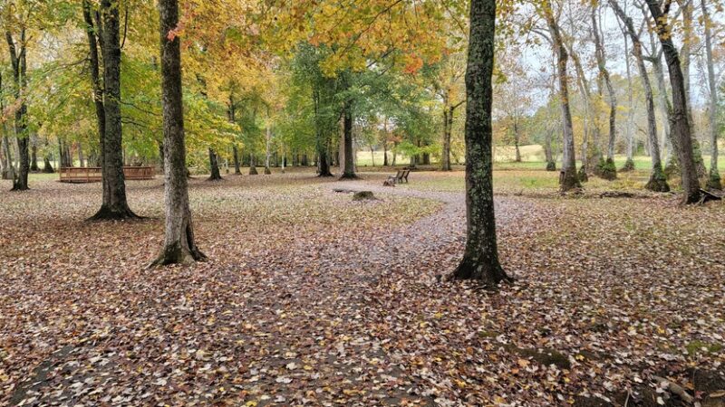 England Park & Blue Eye Trail - Lincoln, AL
