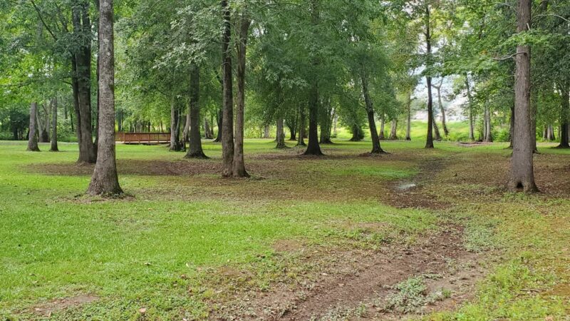 England Park & Blue Eye Trail - Lincoln, AL