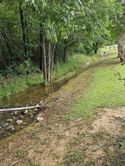 Moseley Park - Lincoln, AL