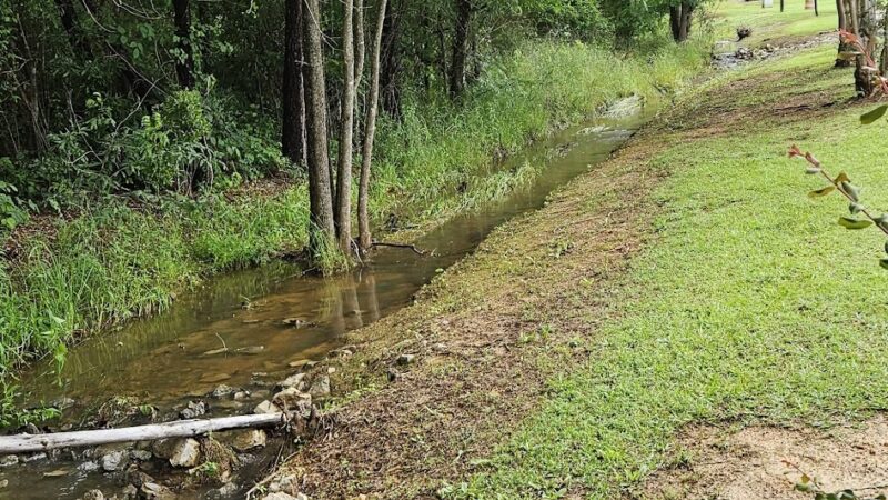 Moseley Park - Lincoln, AL