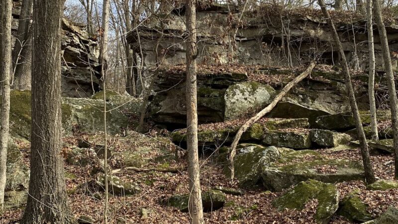 Lincoln Lake Parking - Lincoln, AR