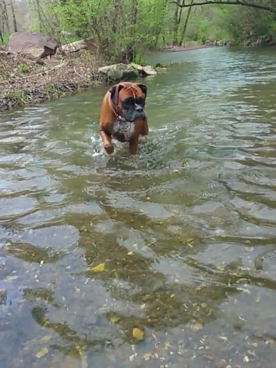 Lincoln Lake Parking - Lincoln, AR