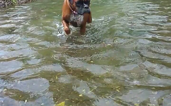 Lincoln Lake Parking - Lincoln, AR