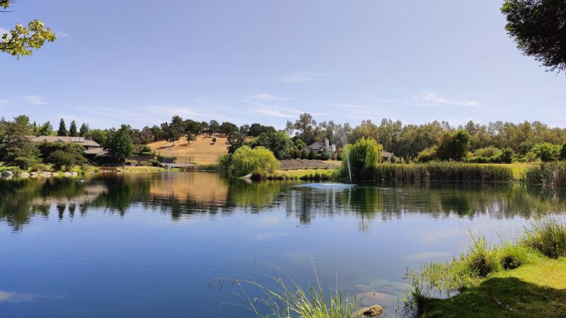 Bunz Lavender Farm - Lincoln, CA