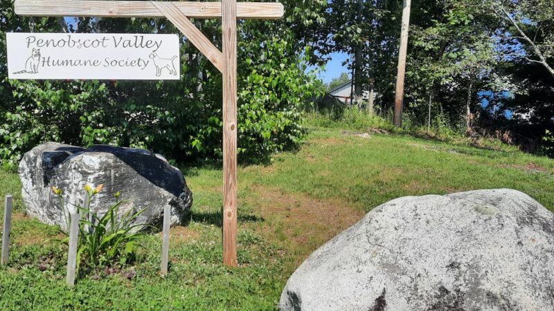 Penobscot Valley Humane Society - Lincoln, ME