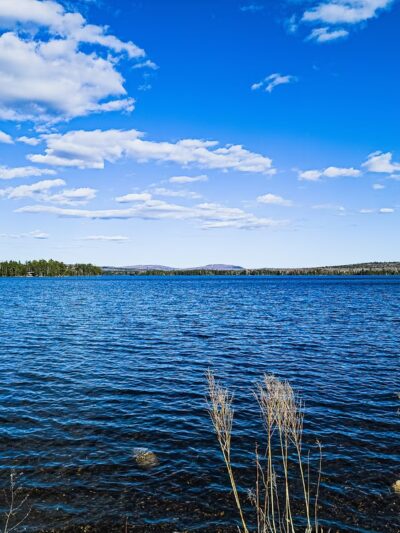 Prince Thomas Park - Lincoln, ME