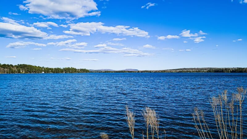 Prince Thomas Park - Lincoln, ME